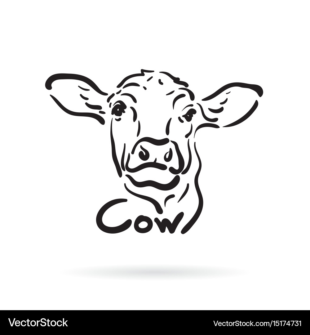 Hand-Drawn Cow Portrait vector image