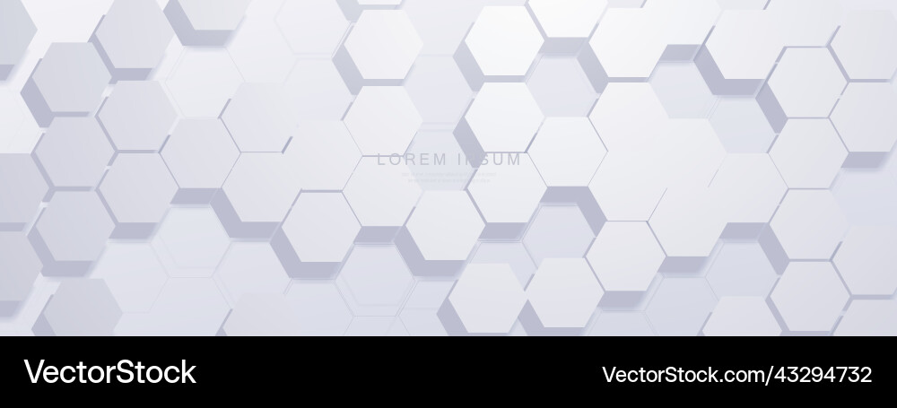 Modern Geometric Hexagon Pattern vector image