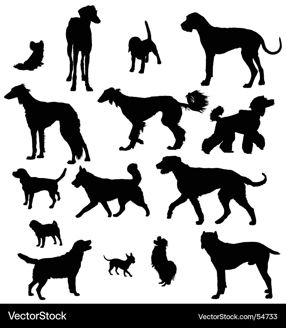 Dog Silhouettes Collection vector image