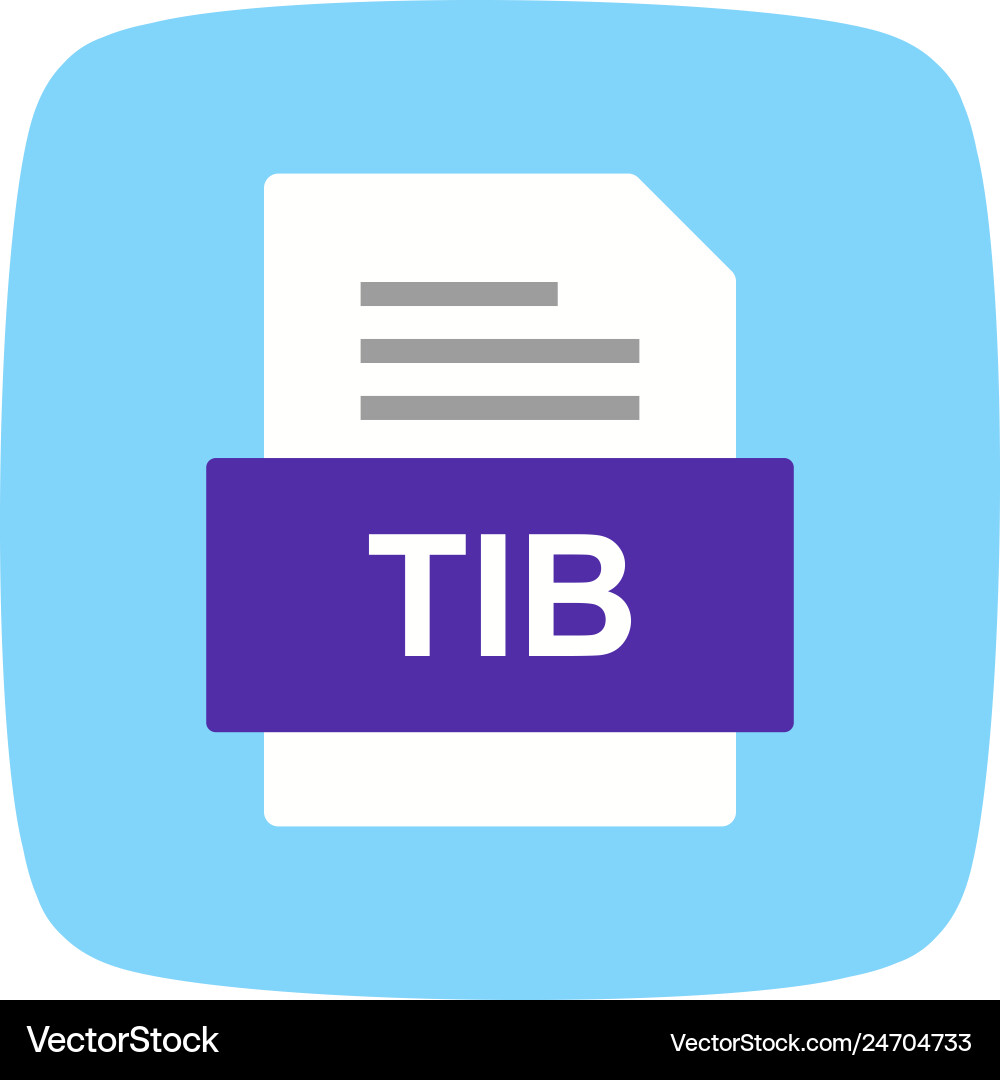 Tib file document icon Vector Image