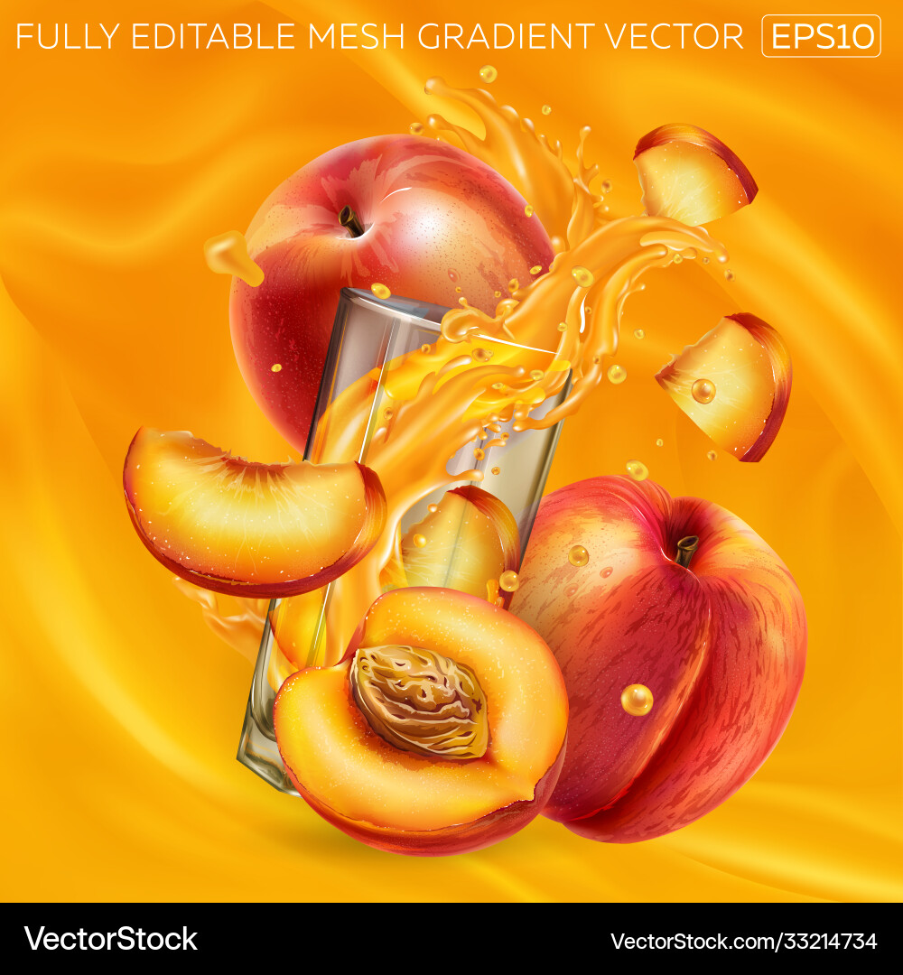 Fresh peaches and a glass splashing juice vector image