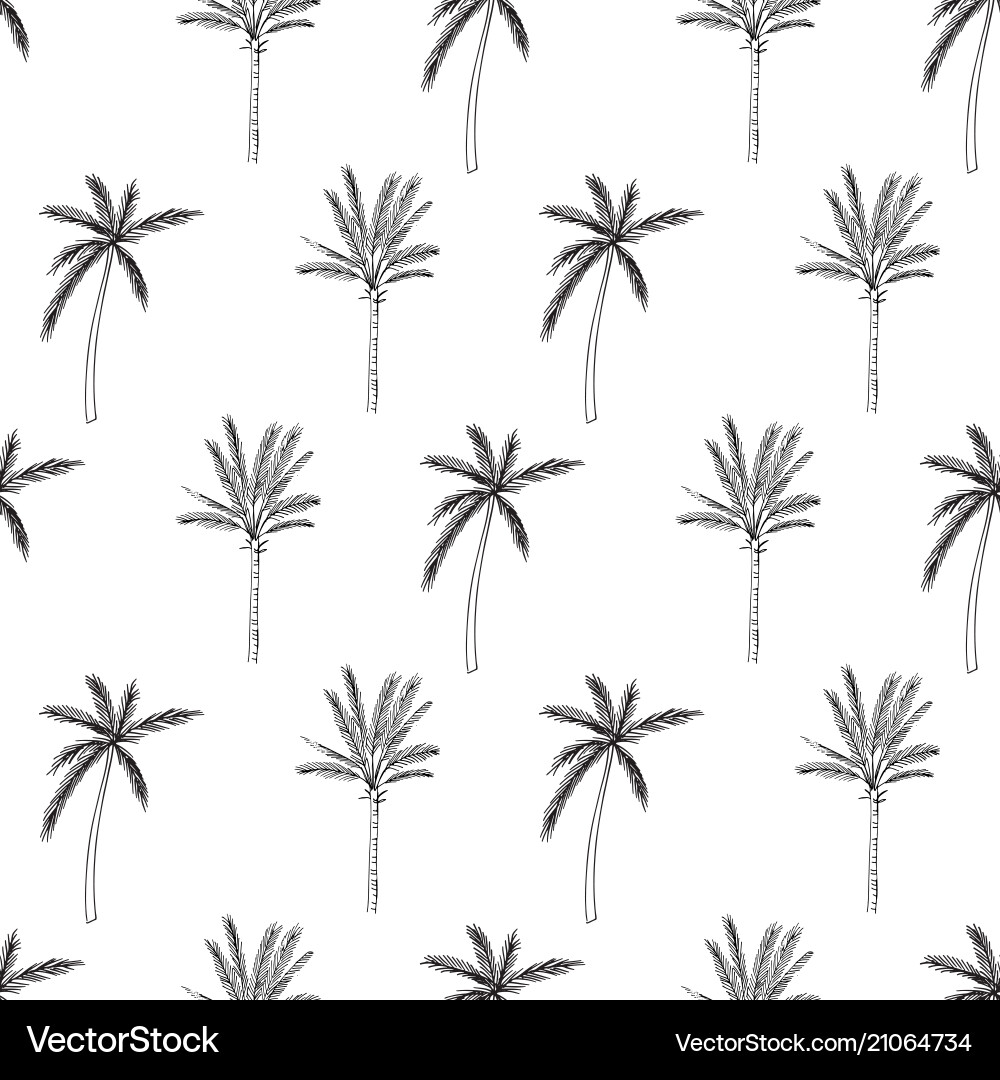 Palm Tree Seamless Pattern vector image