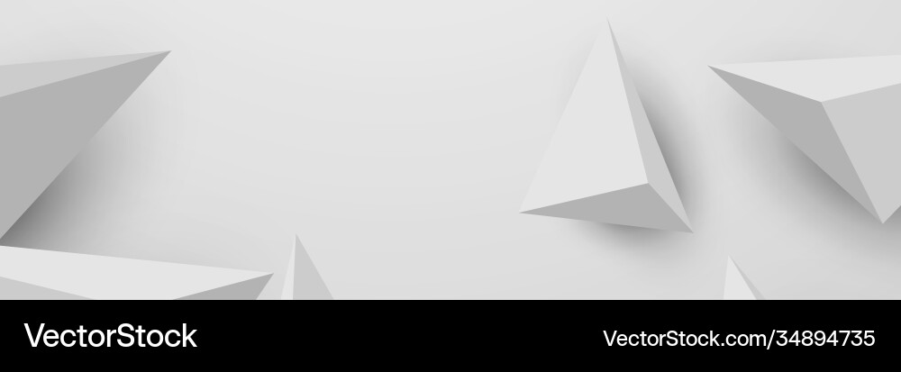Banner abstract geometric white and gray color Vector Image