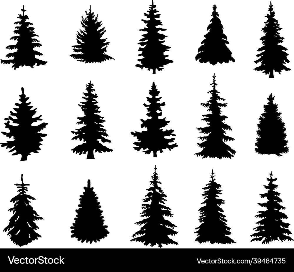 Pine Tree Silhouettes Royalty Free Vector Image