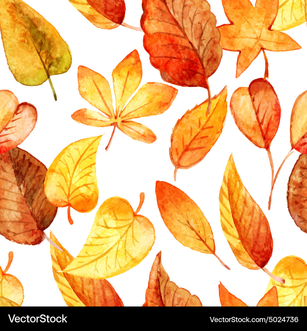 Watercolor Autumn Leaf Pattern Vector Image