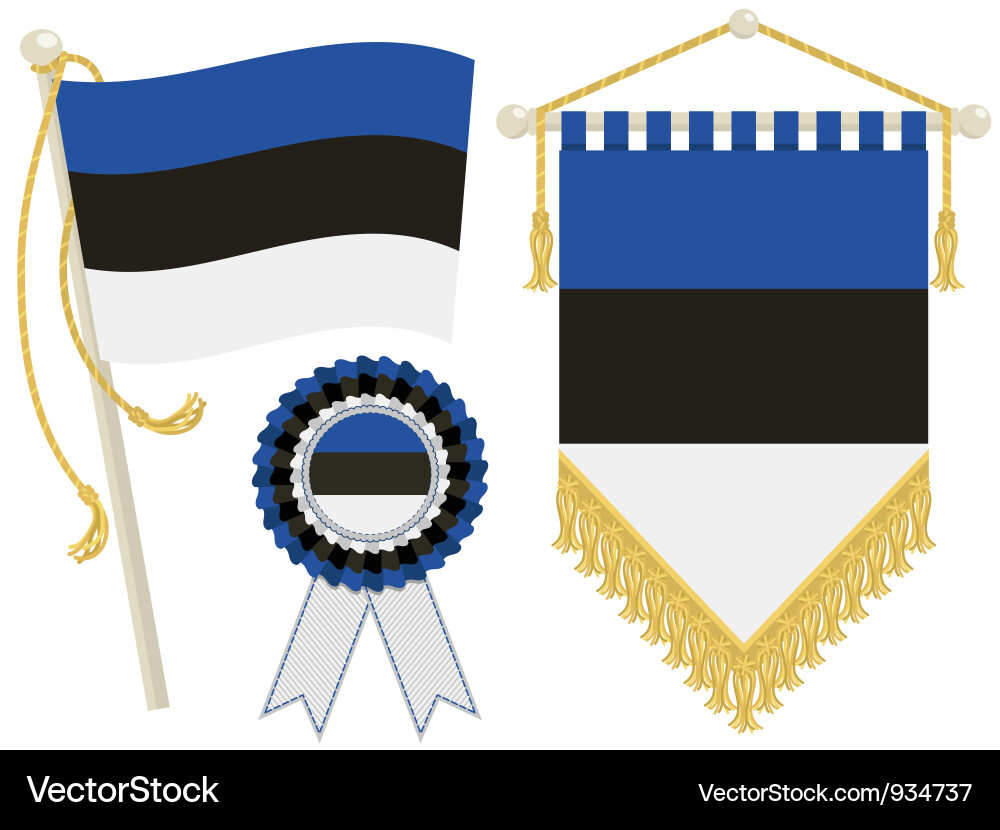 Estonian Flag Elements Vector Image