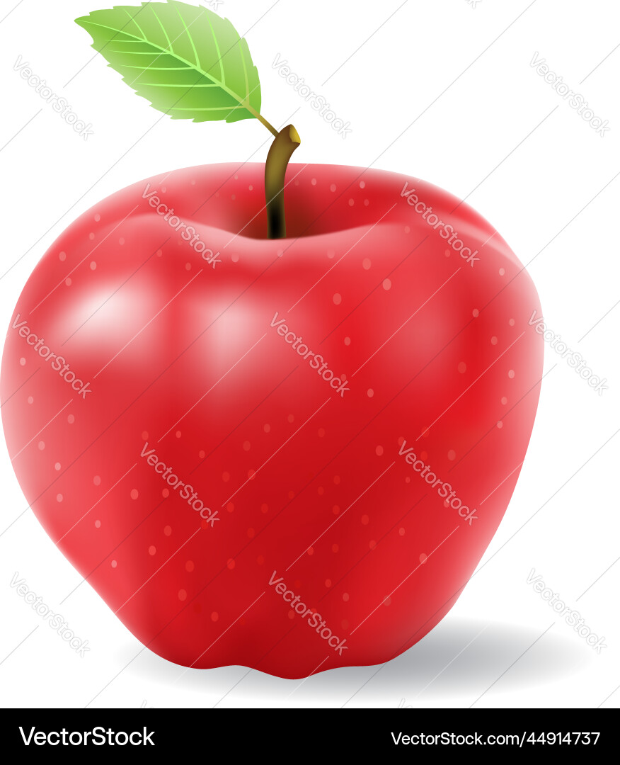 Red shiny apple with a green leaf gradient mesh Red shiny apple with a green leaf gradient mesh vector image