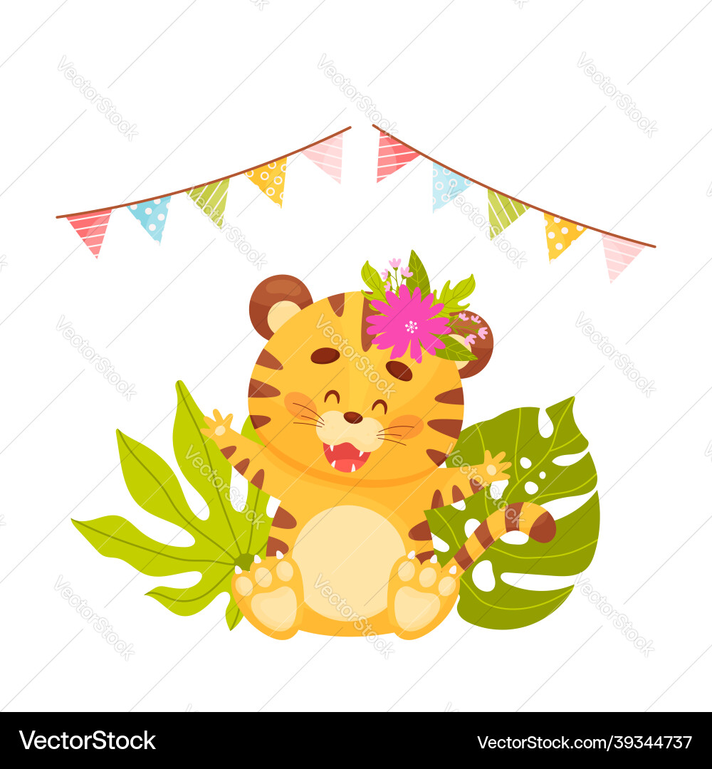 Web Web vector image