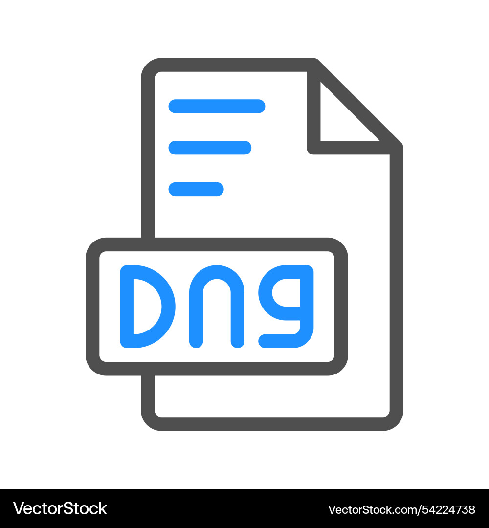 Dng document icons with colorful lines perfect Vector Image