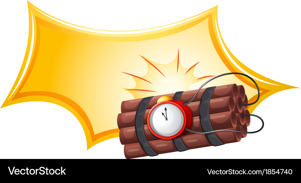 A bomb with timer Vector Image