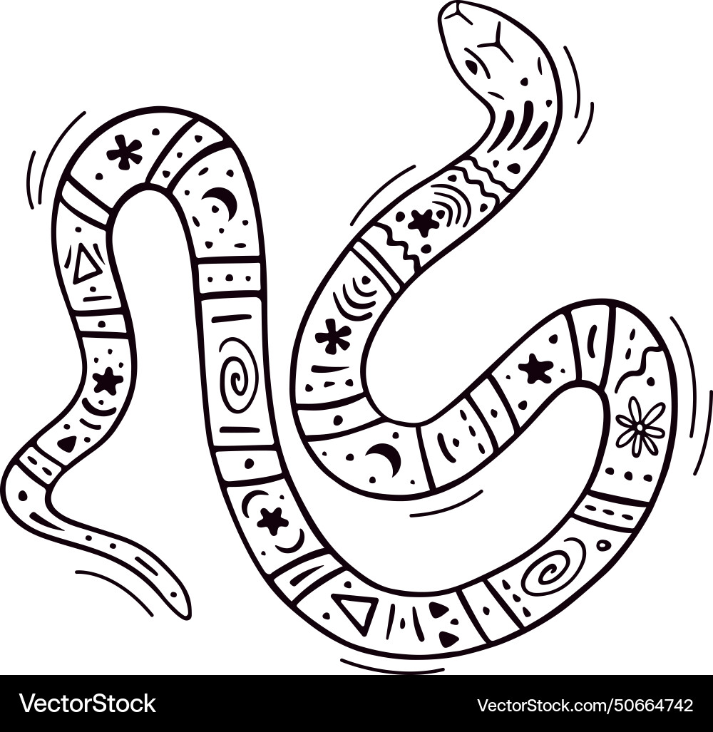 Abstract snake print in doodle style boho Vector Image