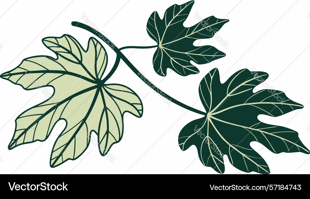 Distinct maple leaf branch design generative ai vector image