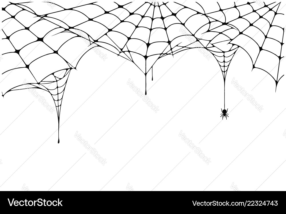 Spooky Spider Web Background vector image