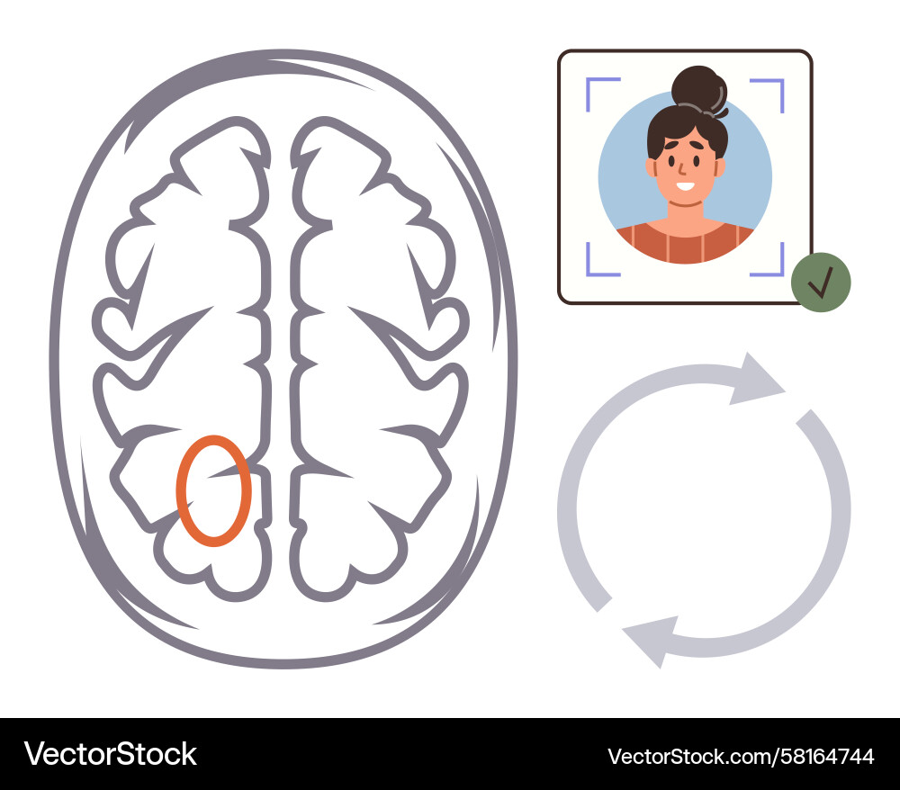 Brain Scan with Facial Recognition Analysis Vector Image