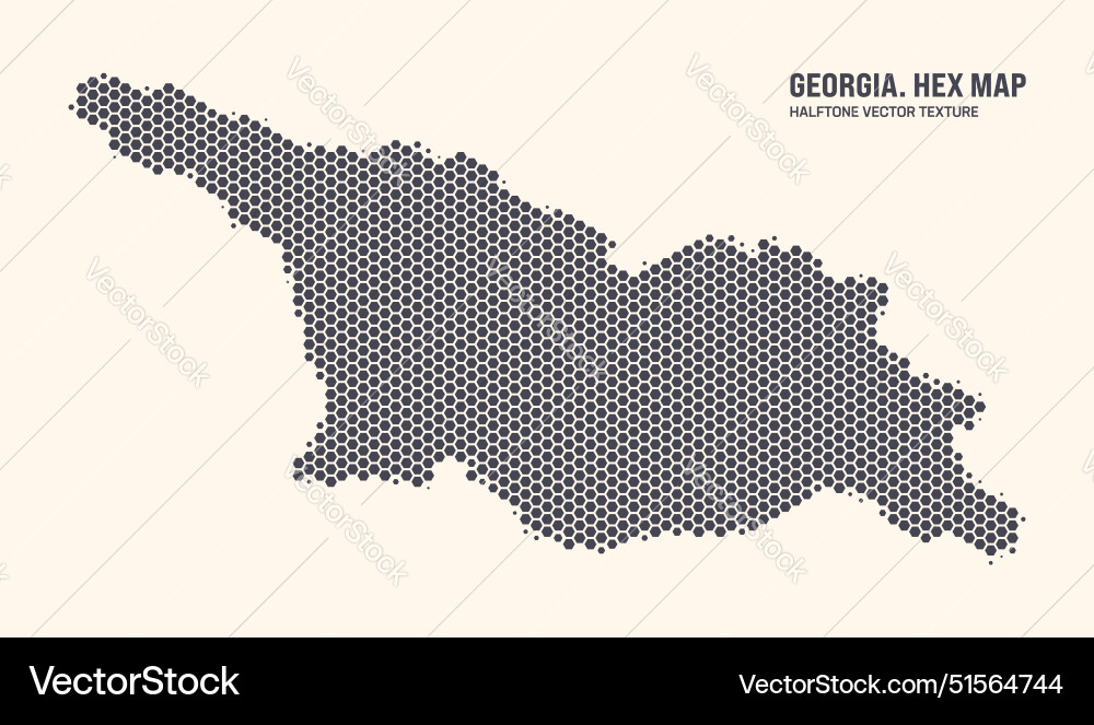 Georgia Hexagonal Map Pattern vector image