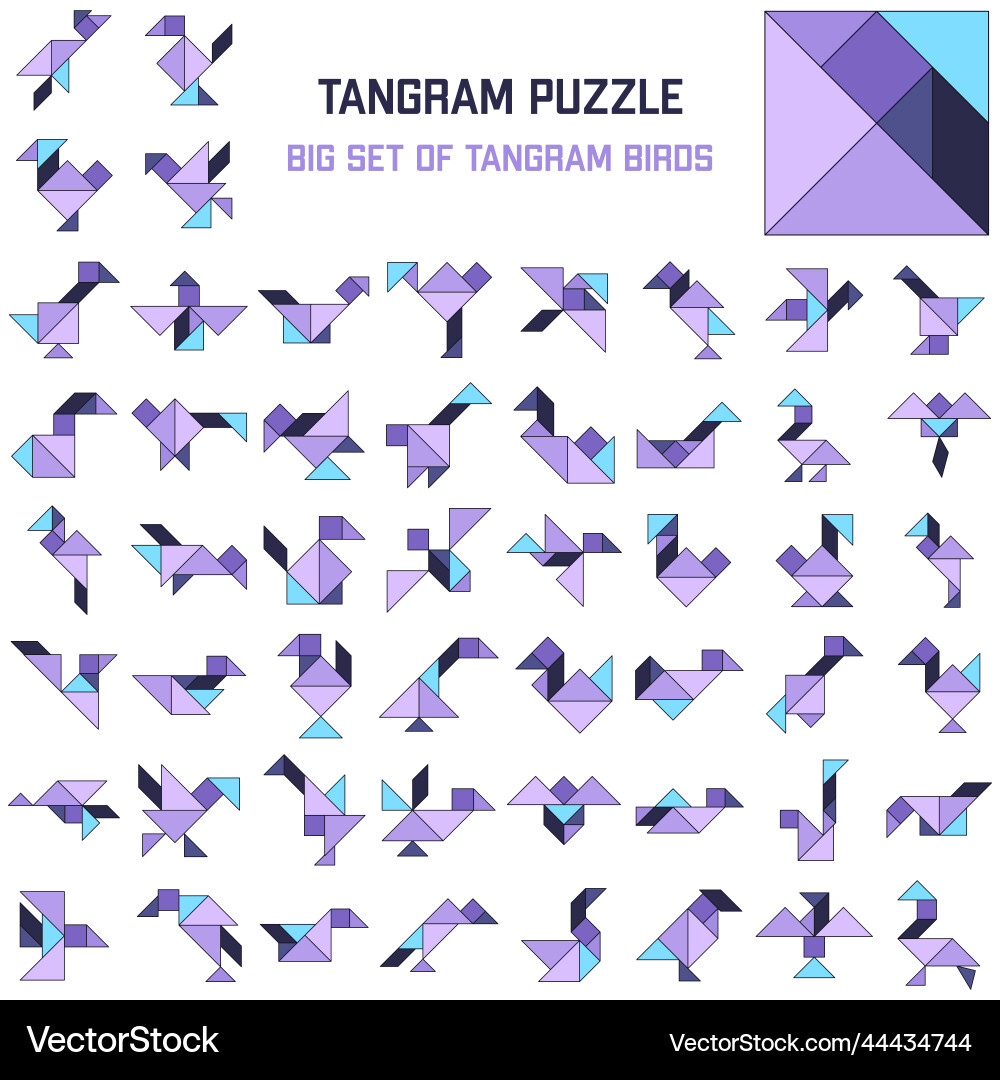 Tangram puzzle set of different birds Tangram puzzle set of different birds vector image