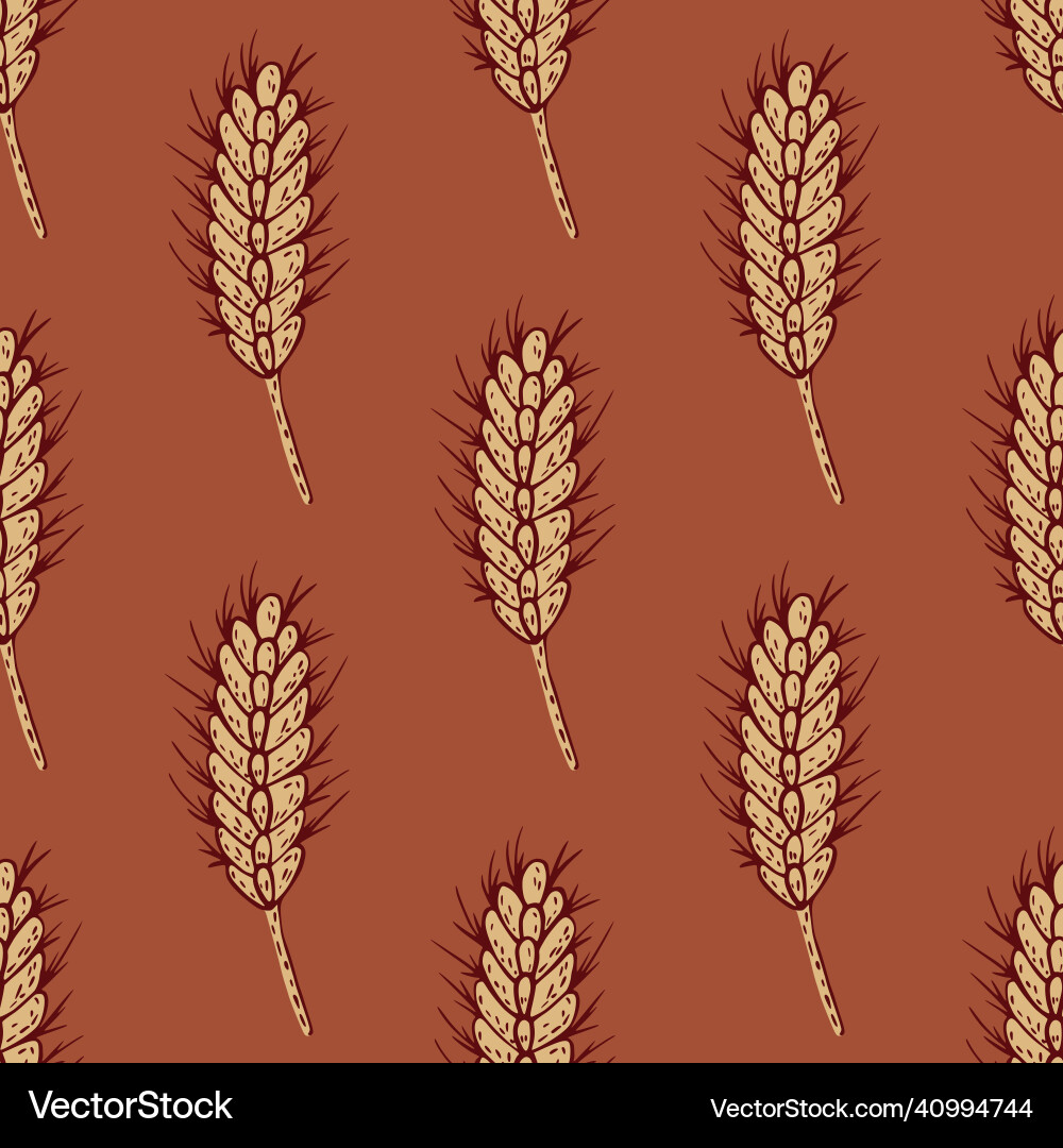 Wheat seamless pattern cereal crop sketch Wheat seamless pattern cereal crop sketch vector image