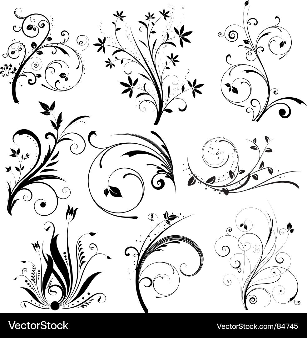 Floral design elements Royalty Free Vector Image
