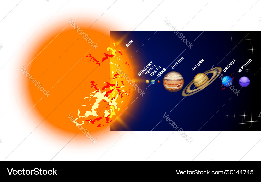 Planetary System Lineup - Sun to Neptune vector image