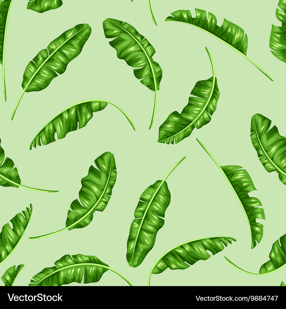 Seamless pattern with banana leaves image vector image
