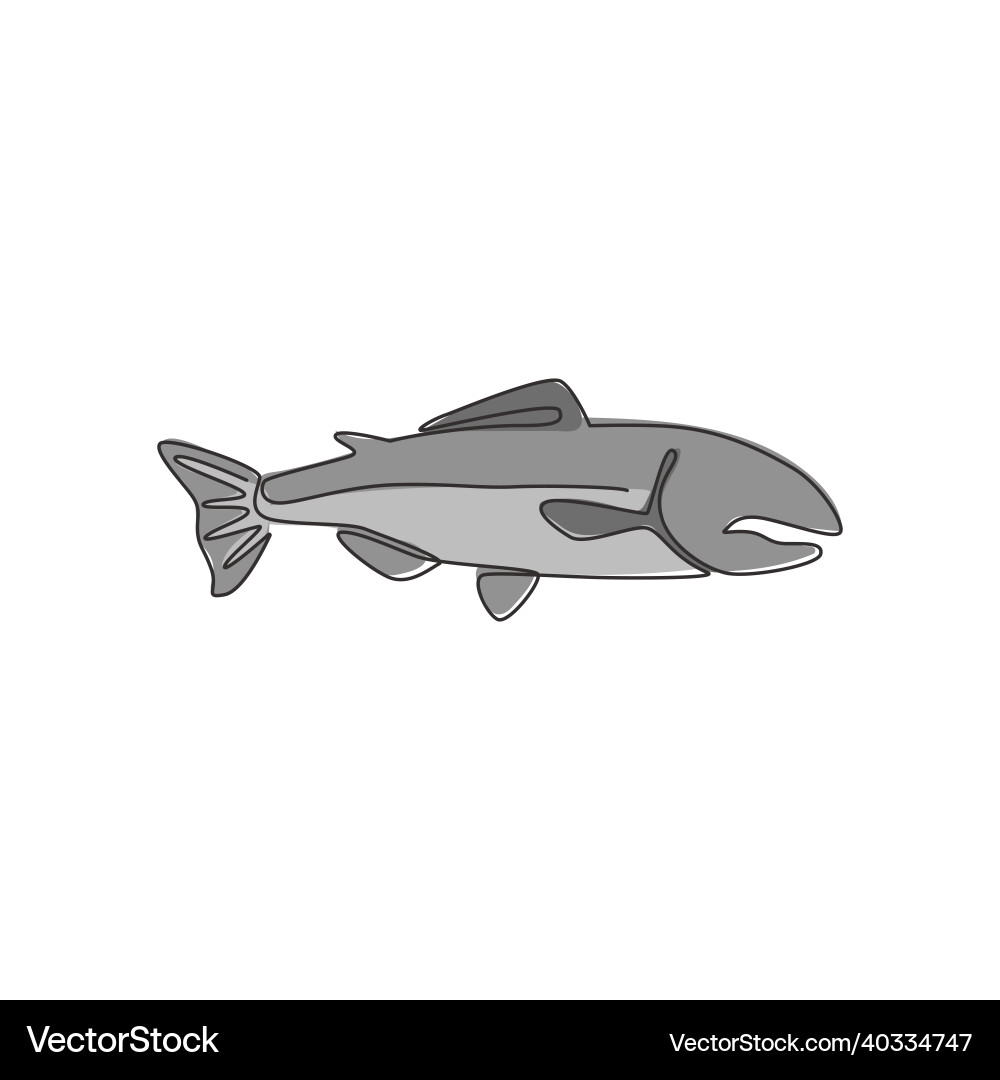 Single continuous line drawing of large salmon vector image