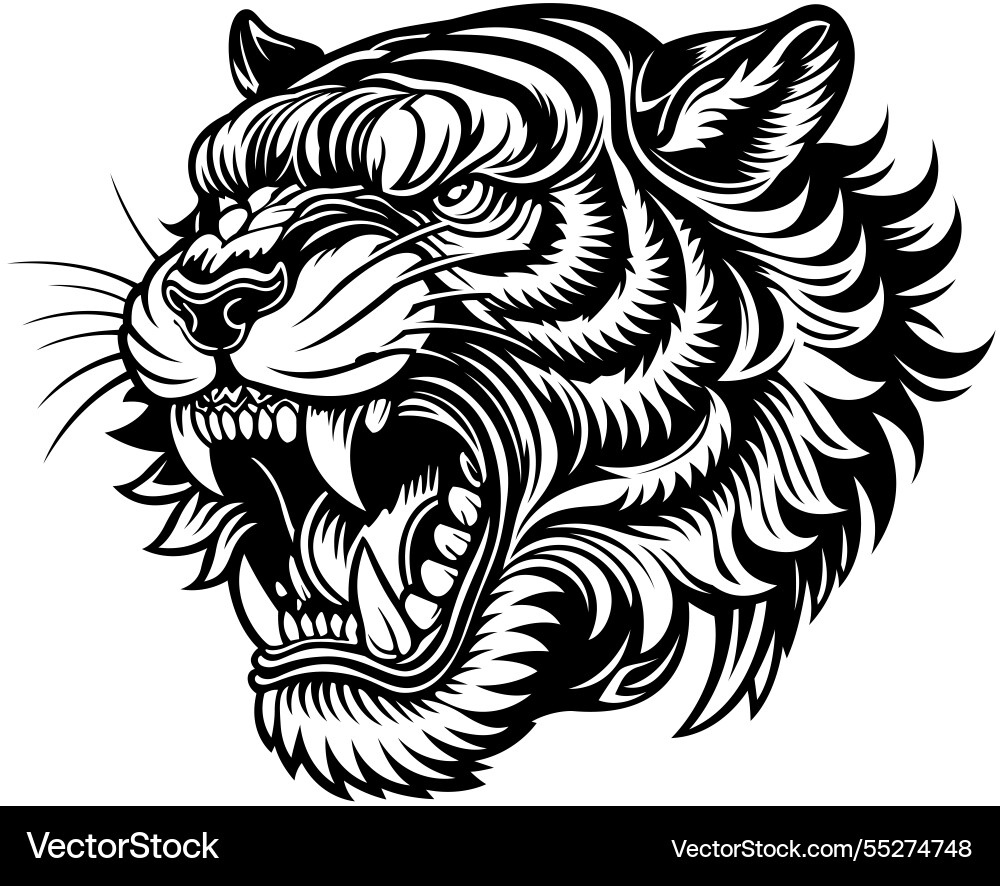 Black and white tiger head with open mouth Vector Image