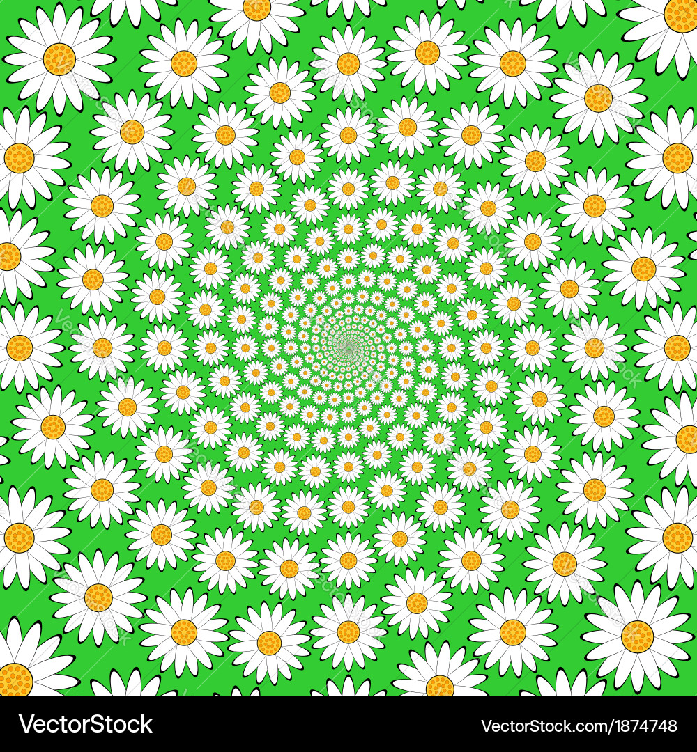 Design chamomile helix movement background vector image