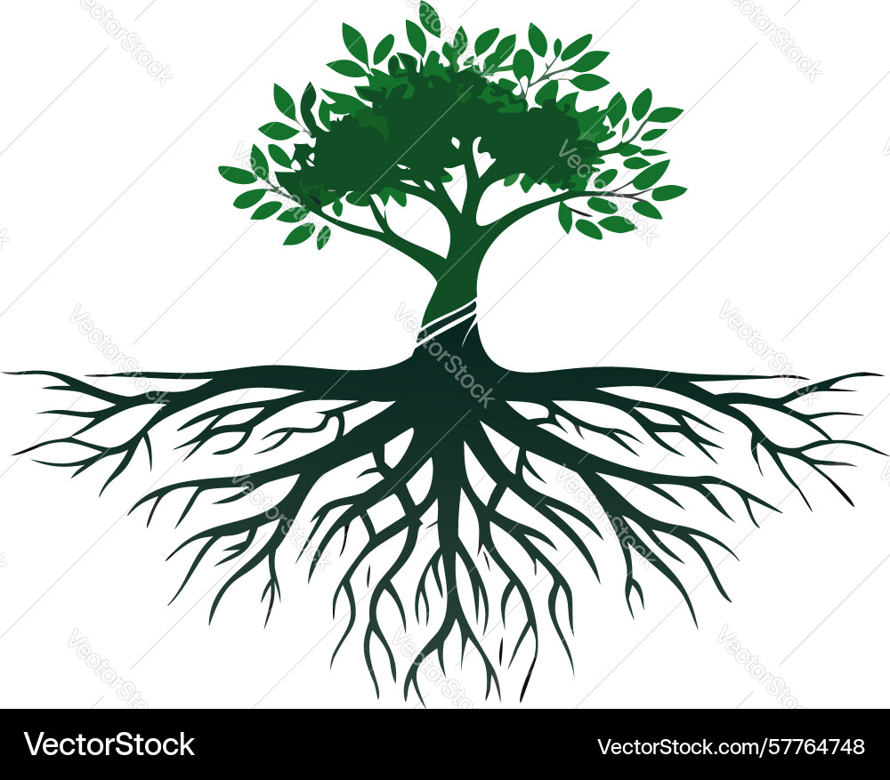 Robust tree with intricate root system design Vector Image
