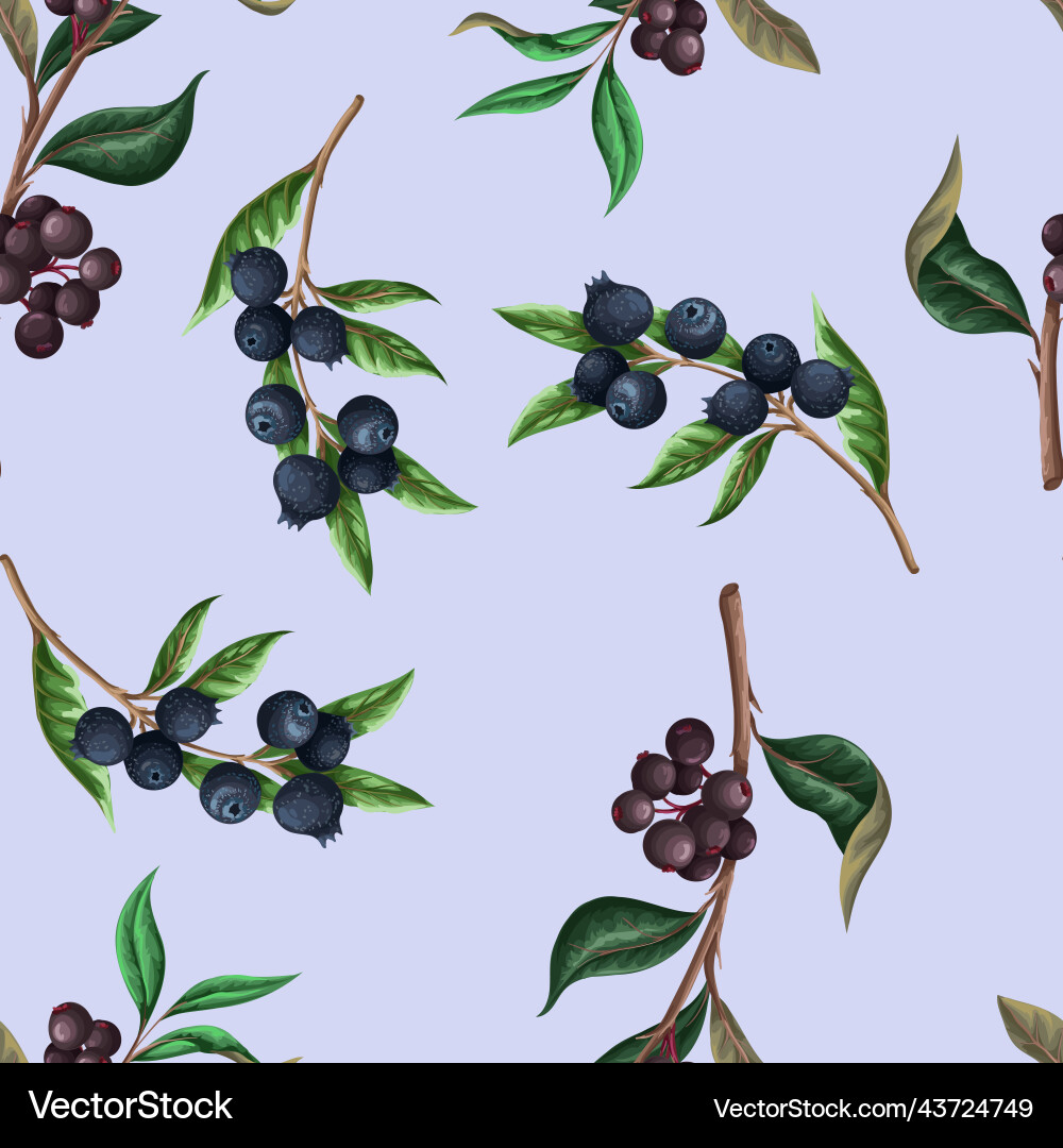 Seamless pattern with blueberries Seamless pattern with blueberries Vector Image