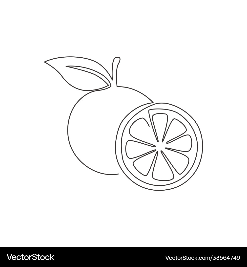 Single Continuous Orange Slice Vector Image