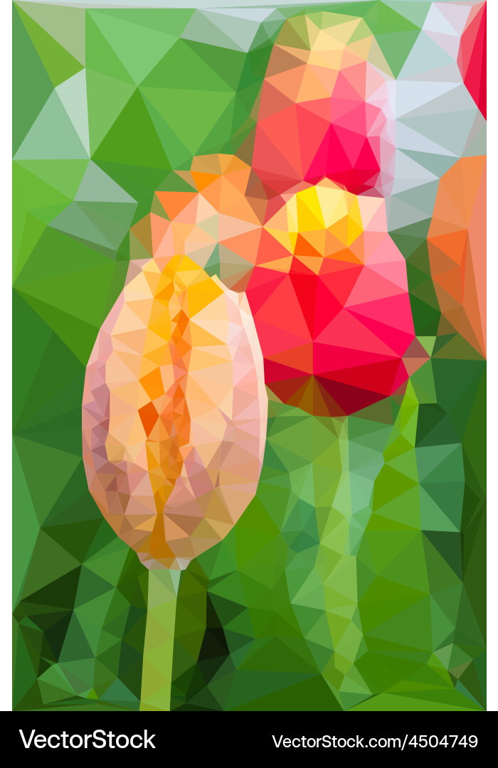 Triangular low poly style of tulip vector image