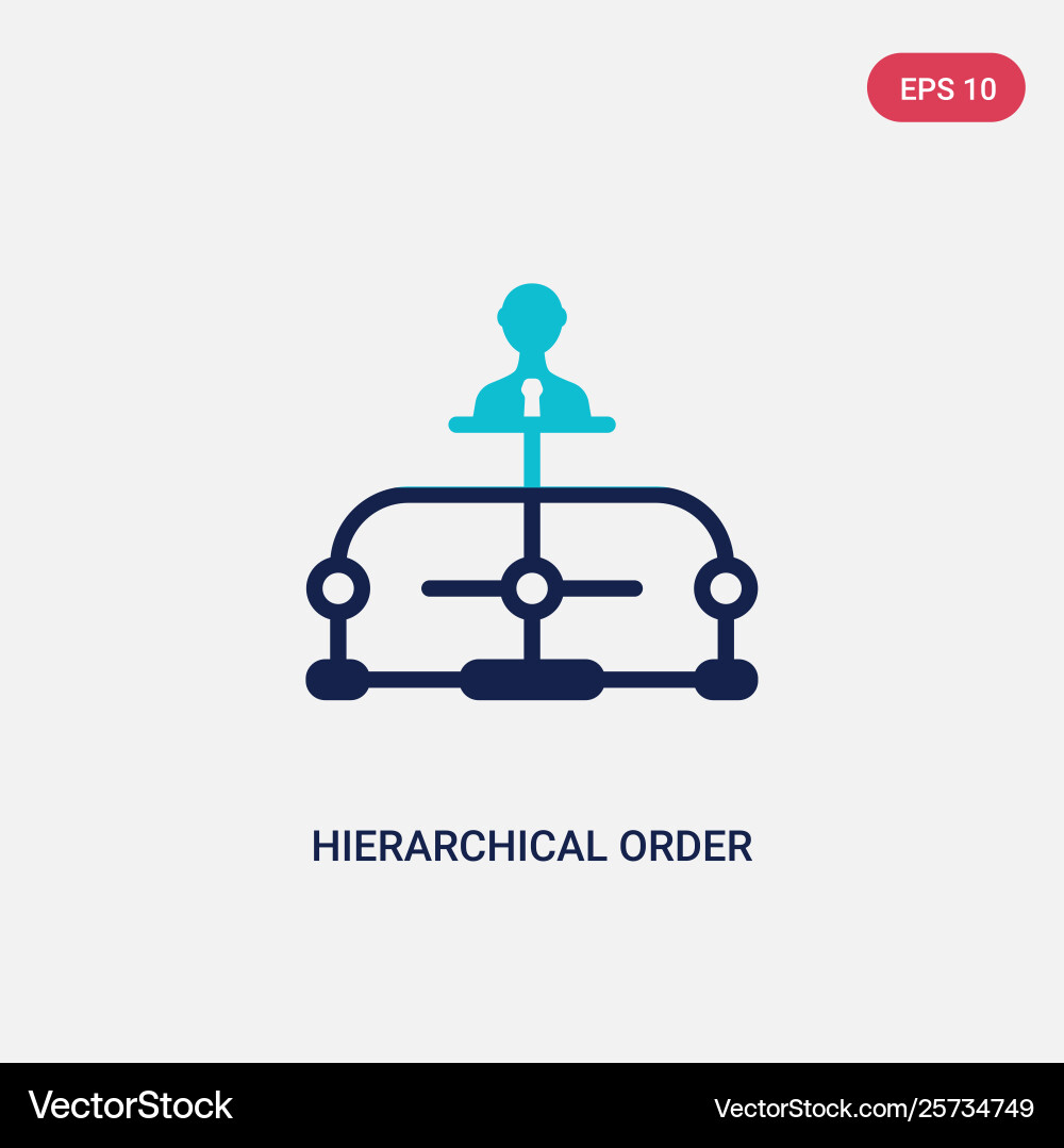 Two color hierarchical order icon from business Two color hierarchical order icon from business Vector Image