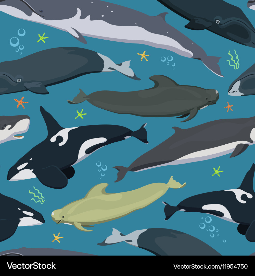 Seamless pattern with whales modern texture vector image