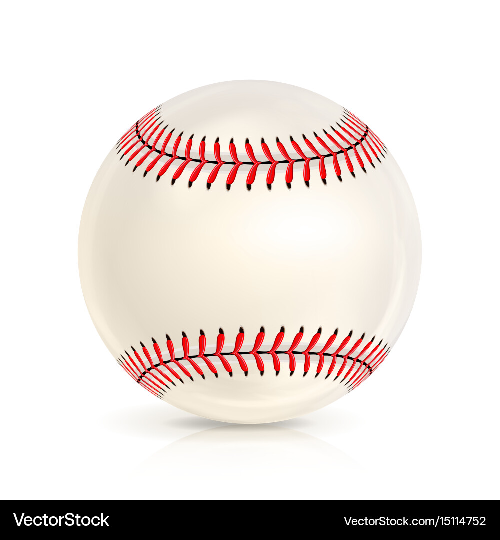 Baseball Ball Close-Up on White Background Vector Image