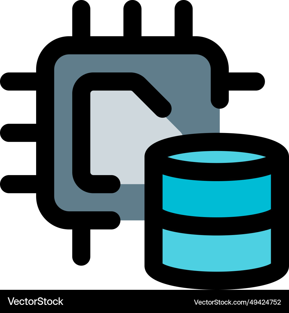Database storage for microchip details vector image