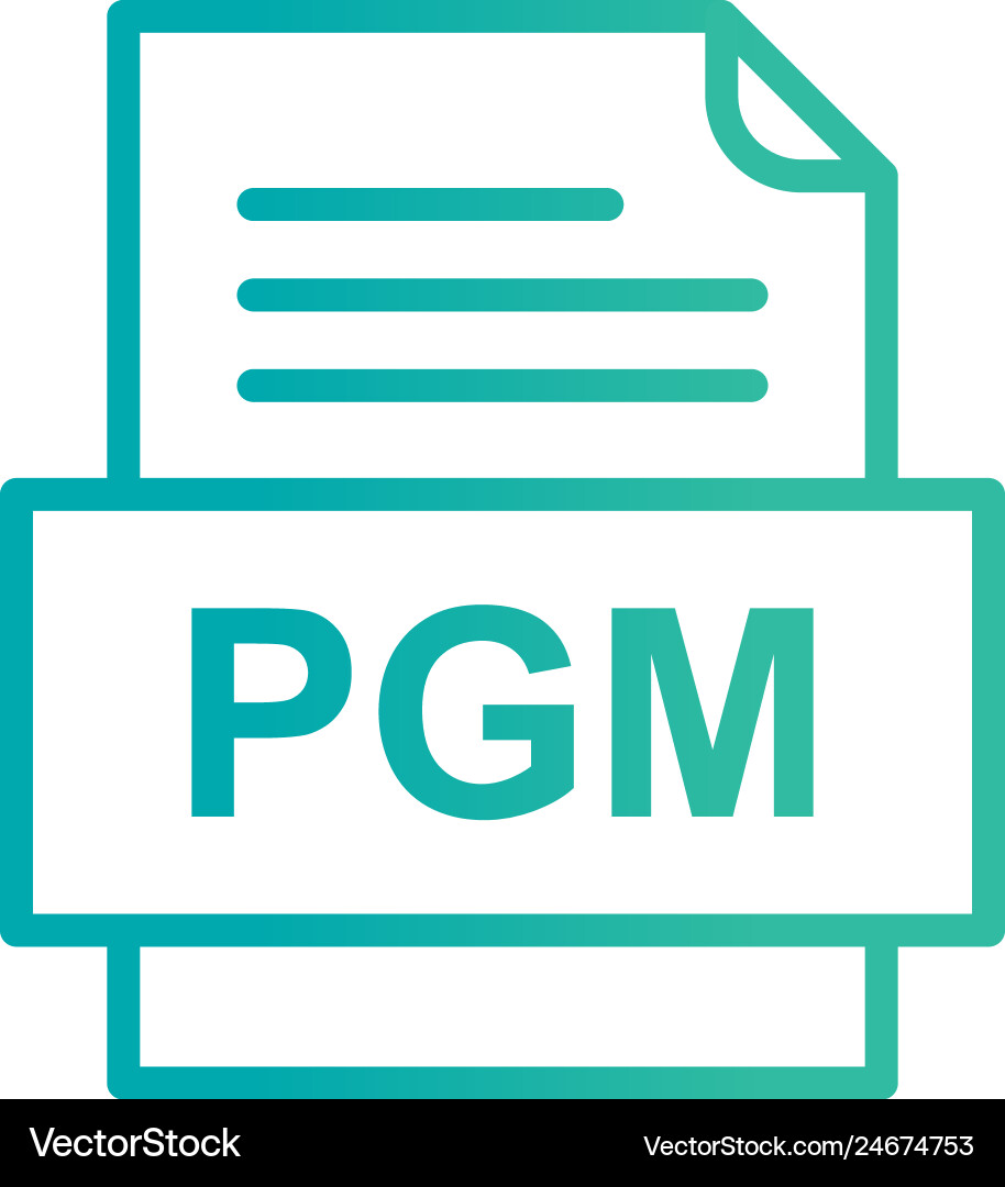 Pgm file document icon vector image