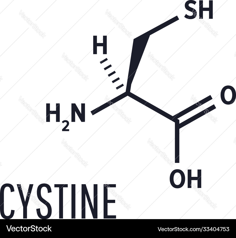 Vitamin c ascorbic acid ascorbate molecule Vector Image