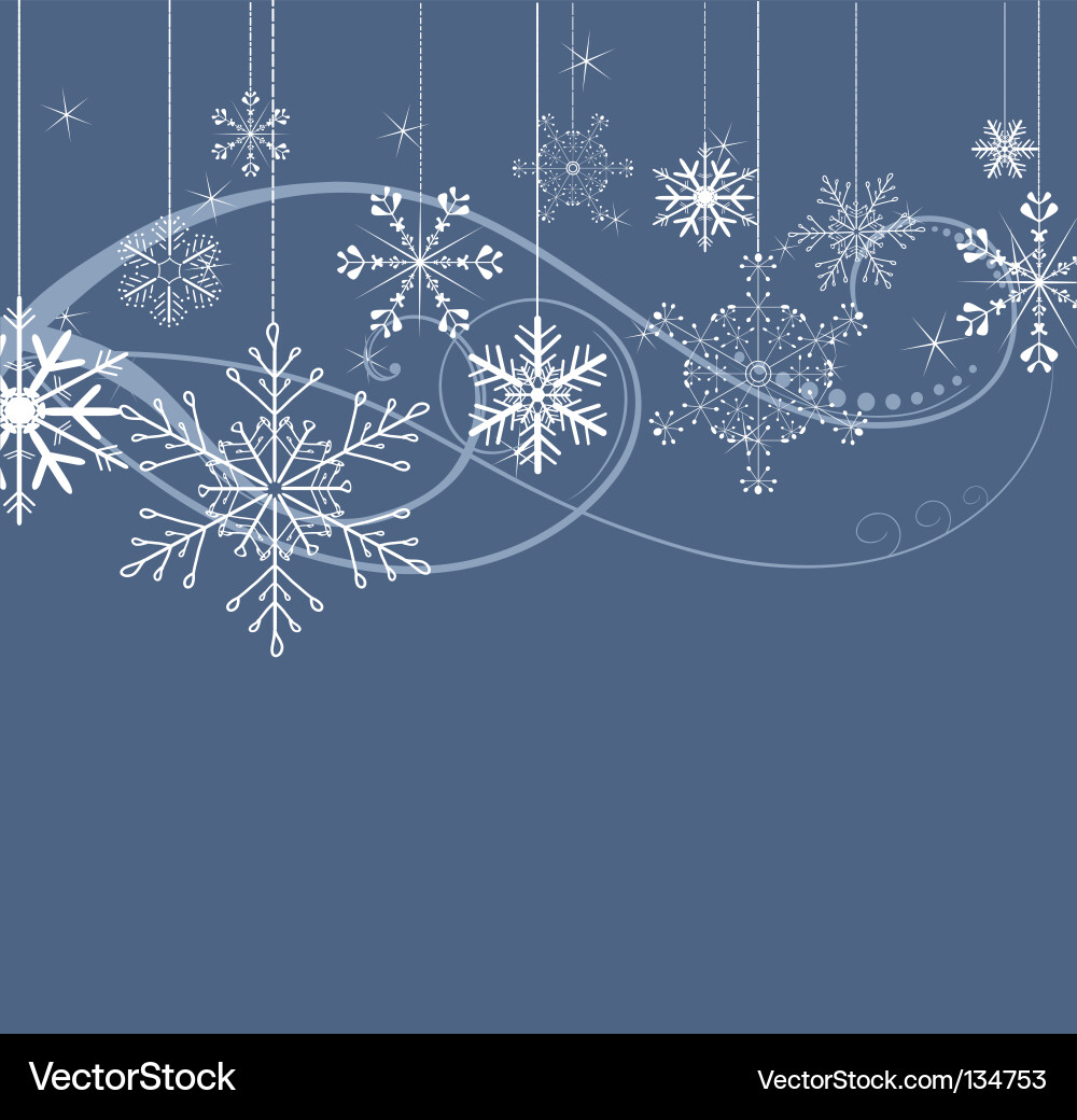 Winter Snowflake Pattern vector image