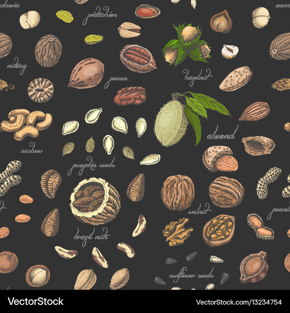 Seamless pattern with colored nuts and seeds Vector Image