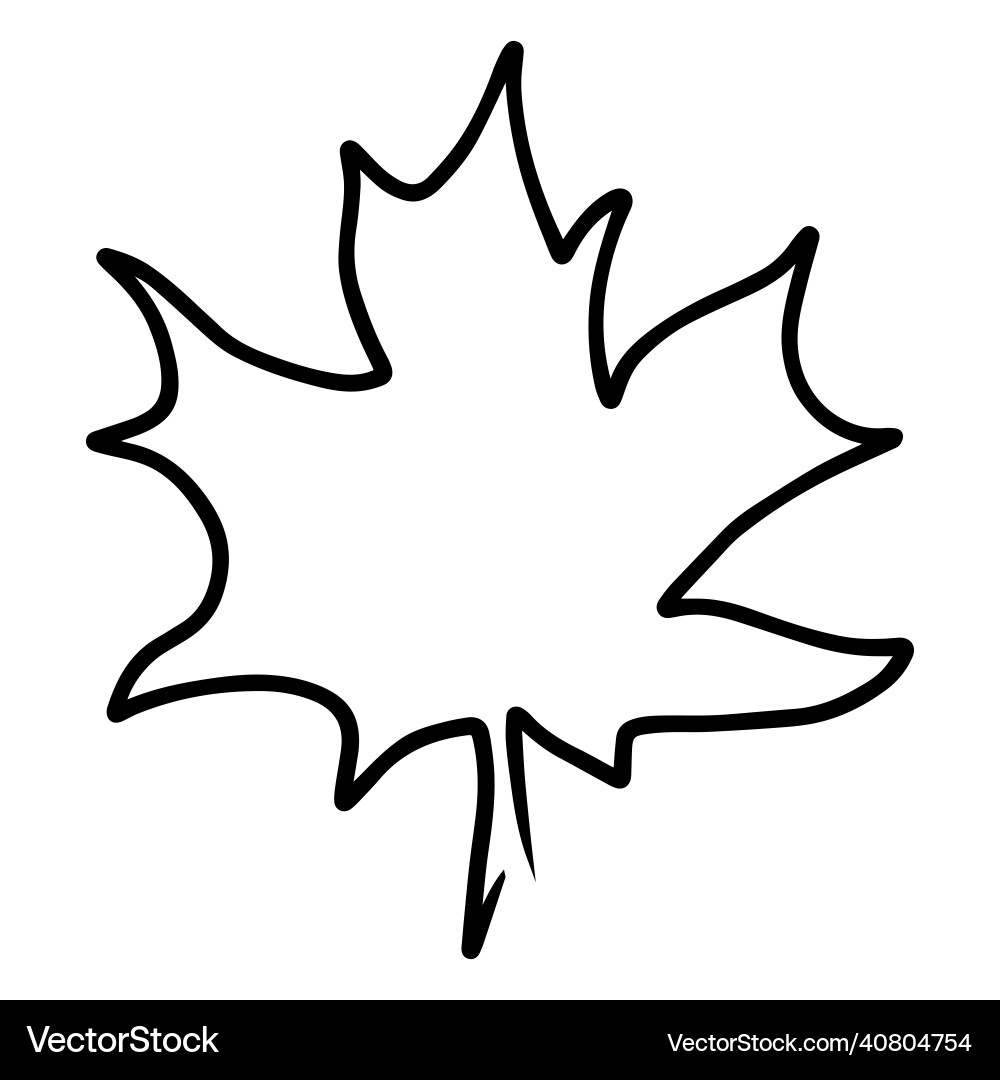 Simple maple leaf logo in continious line art Simple maple leaf logo in continious line art vector image