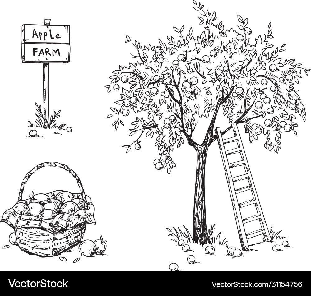 Apfelbaum mit Leiter und Korbreifen Apfelbaum mit Leiter und Korbreifen vektorbild