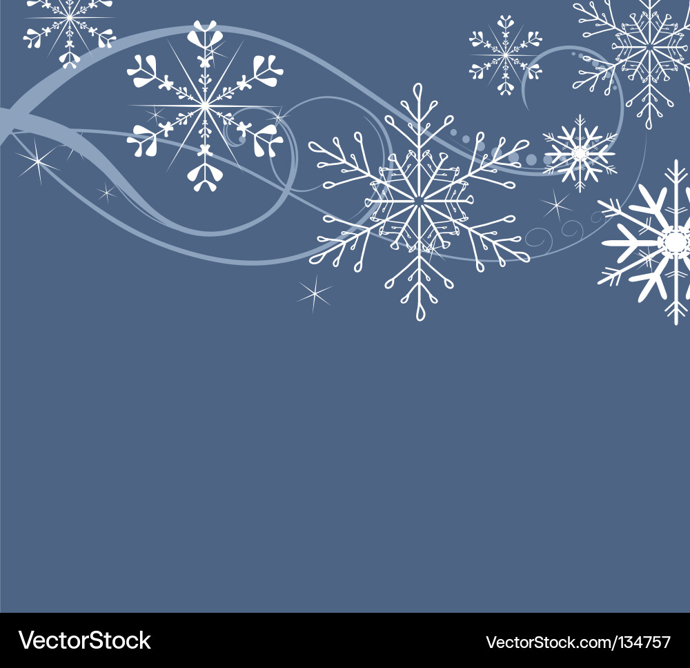 Winter Snowflake Pattern vector image