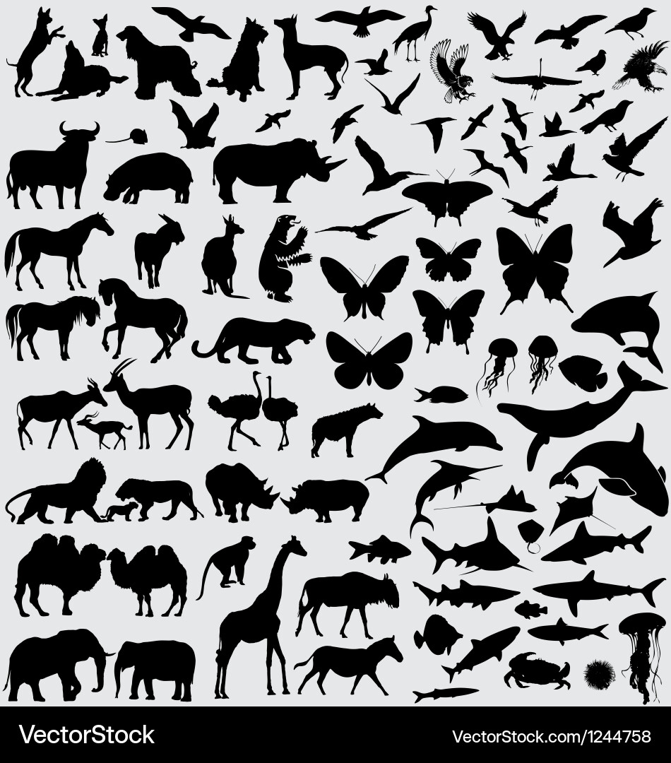 Animal Silhouettes Collection vector image