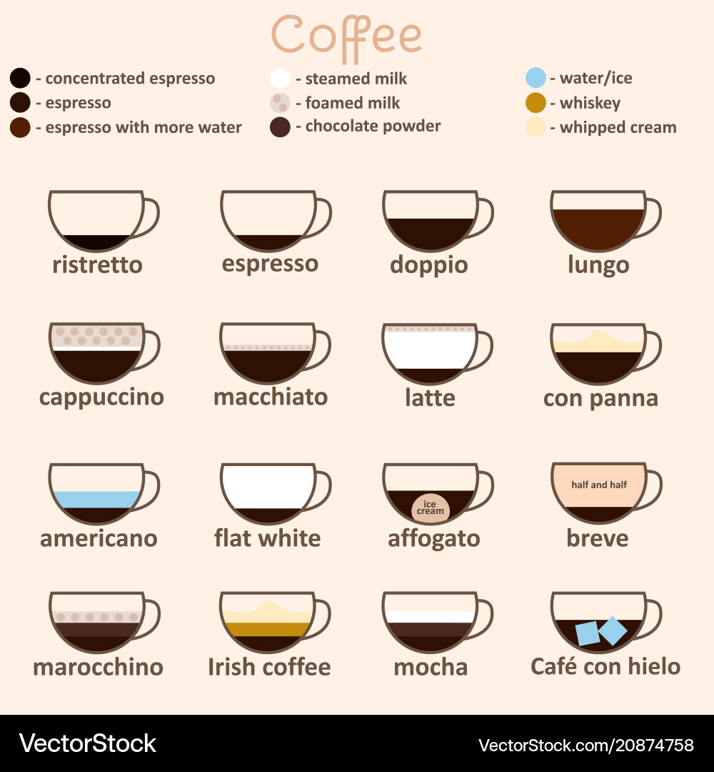 Espresso guide thin line icon card Espresso guide thin line icon card vector image