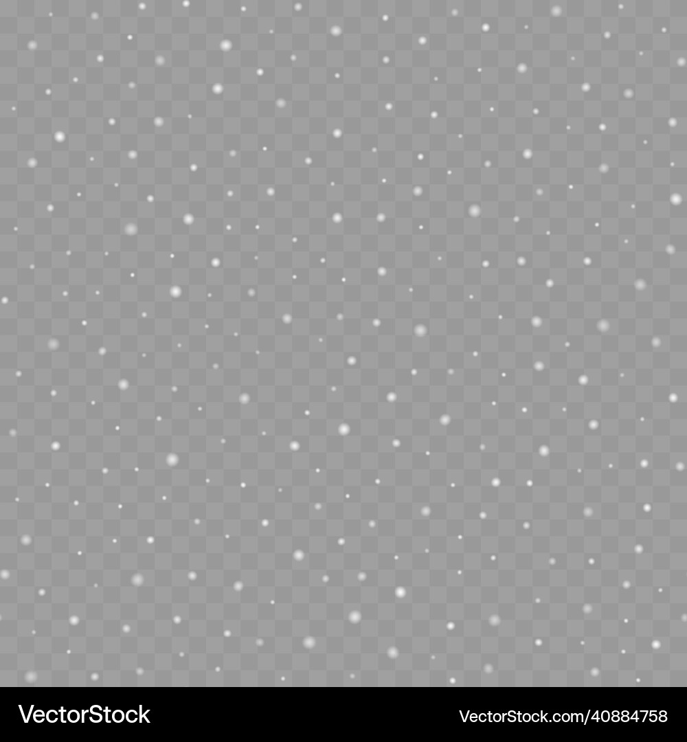 Winter Snowflake Seamless Pattern vector image