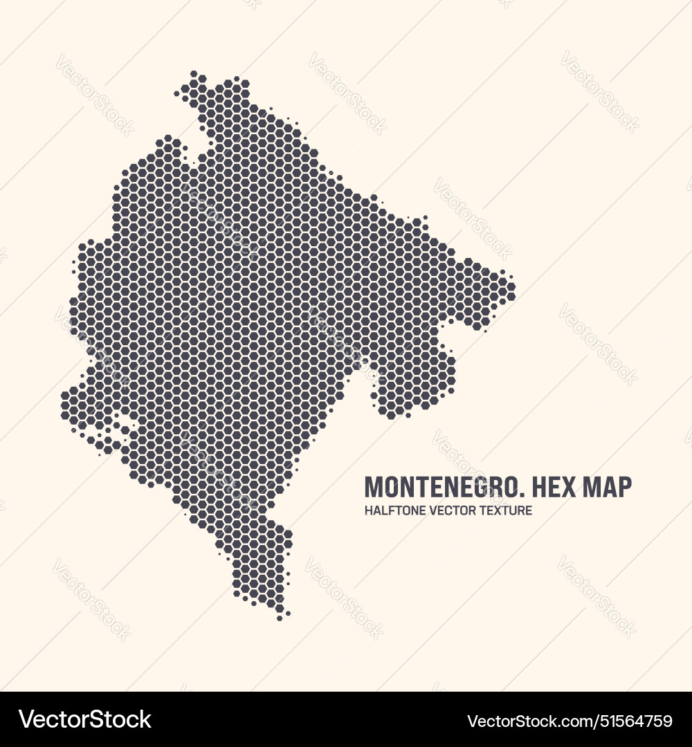 Montenegro Hexagonal Map Pattern vector image