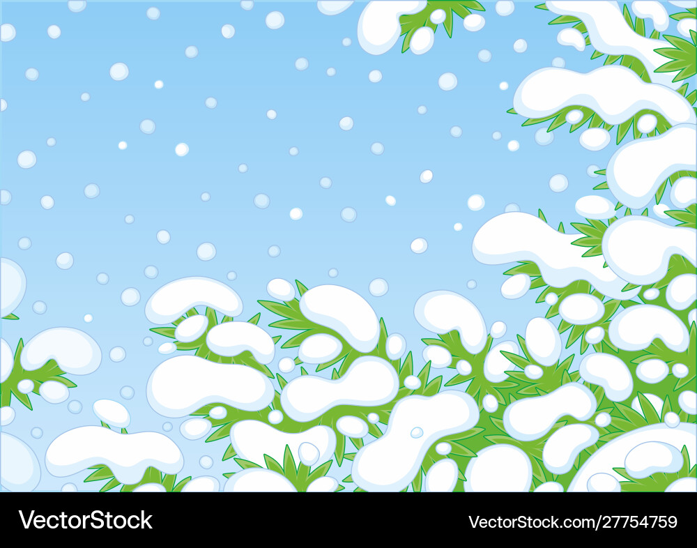 Schneebedeckte Tannenzweige Vektorbild
