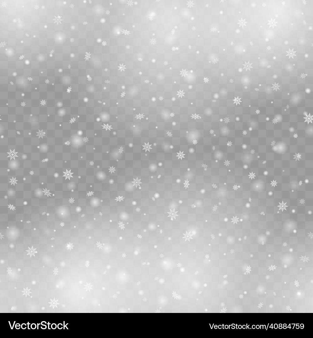 Seamless pattern with falling snowflakes Seamless pattern with falling snowflakes vector image