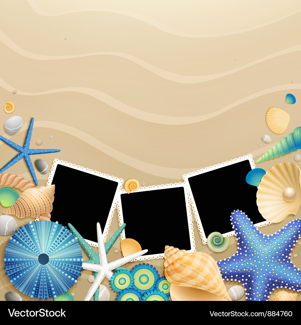 Beach Photo Frames with Shells Vector Image