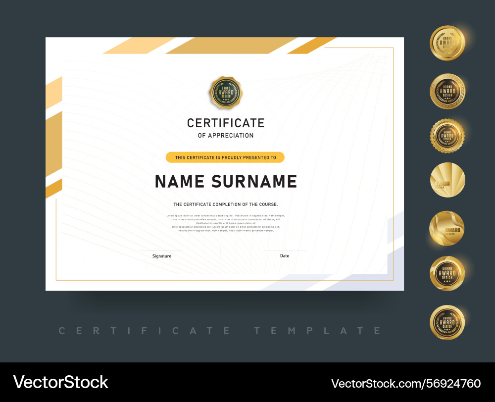Modern certificate template with clean layout vector image